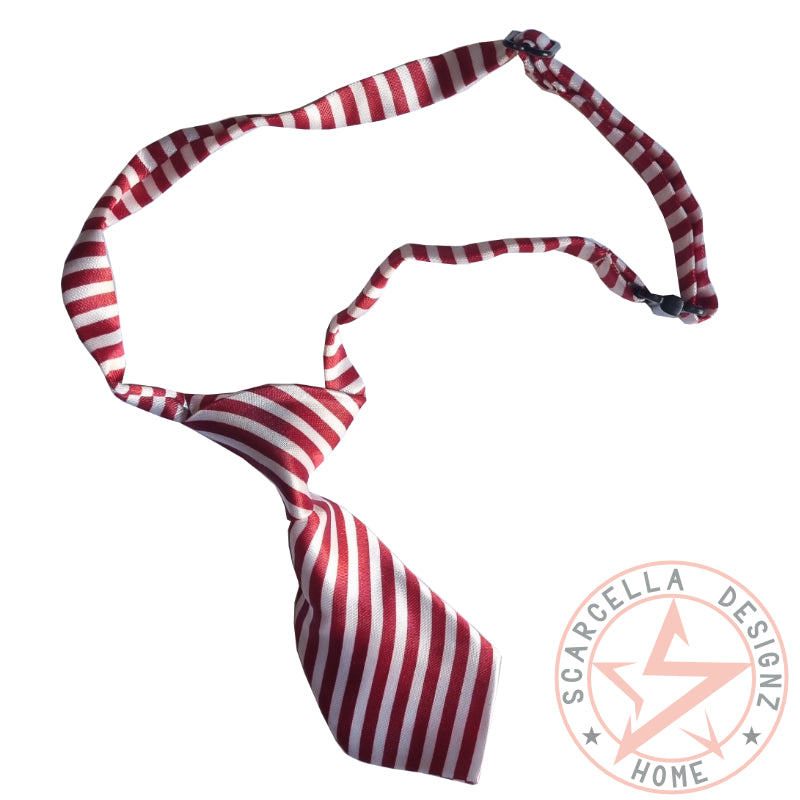 Small to Medium Pet Tie