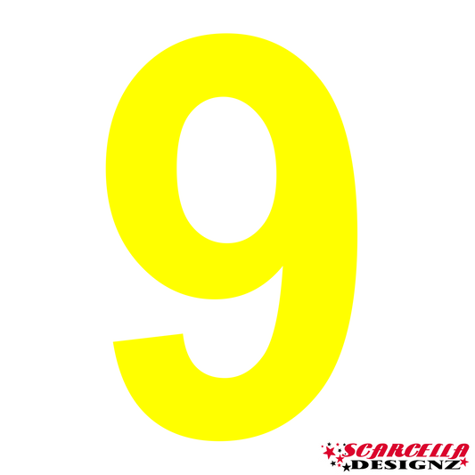 K-2 Competition Dayglo Number/s