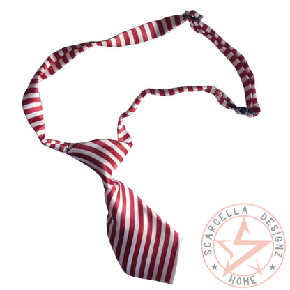 Small to Medium Pet Tie